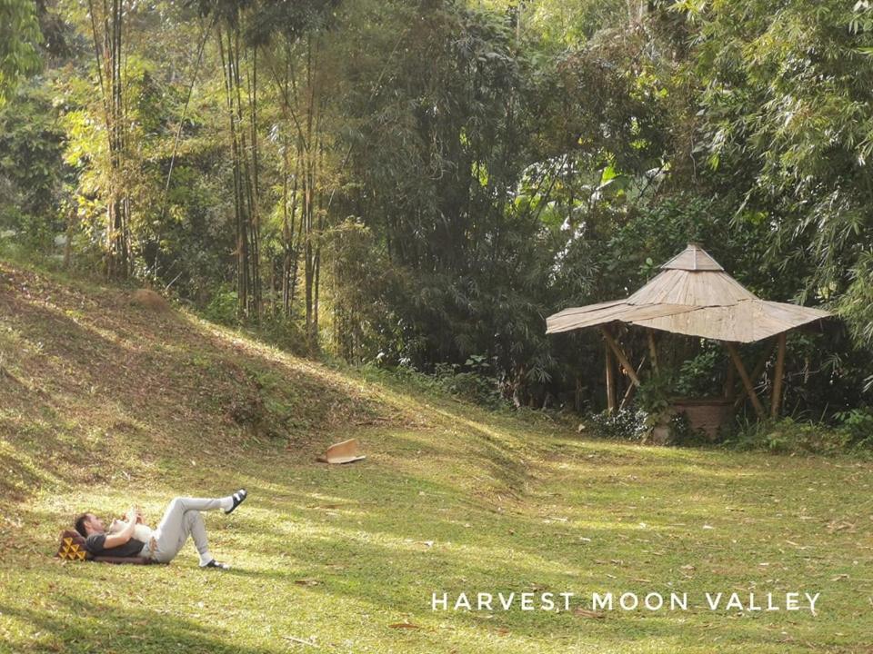 Harvest Moon Valley Ban Pang Luang Kültér fotó